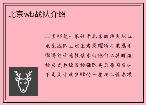 北京wb战队介绍